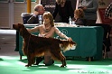 Crufts2011 391